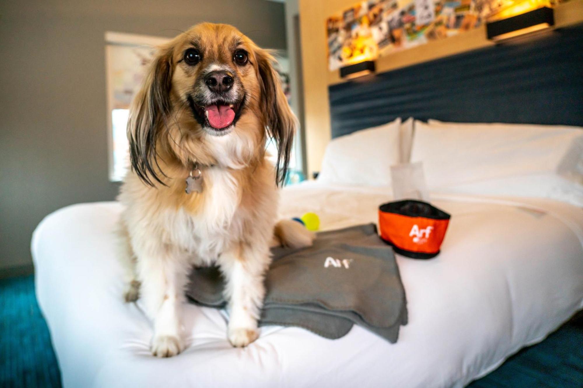 Aloft Louisville Downtown מראה חיצוני תמונה